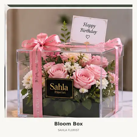 Bloom Box Tikala